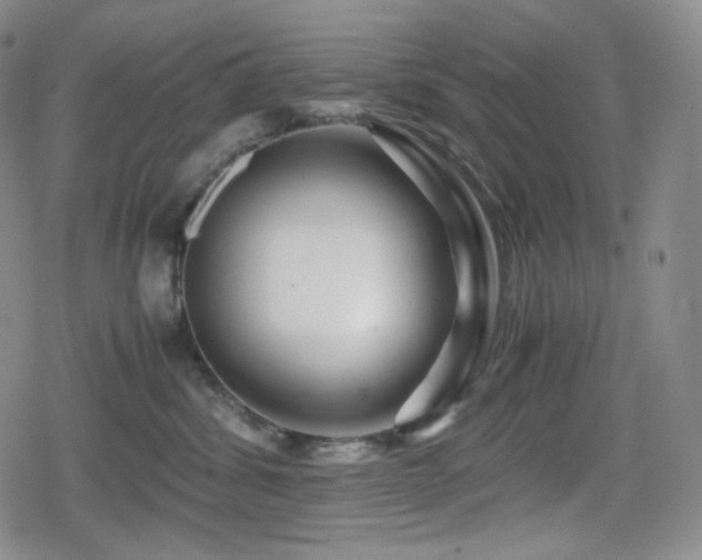 X0000080160428200612081340