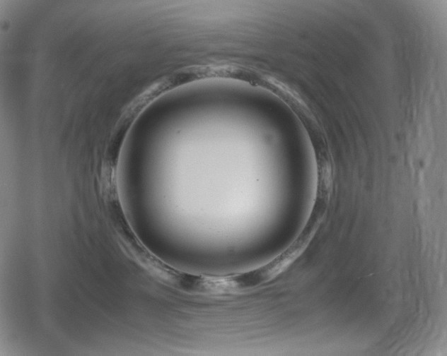 X0000080160429200612081340