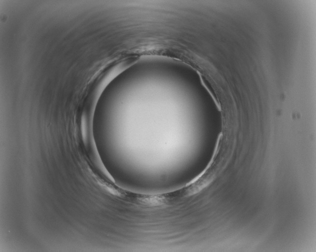 X0000080160432200612081340