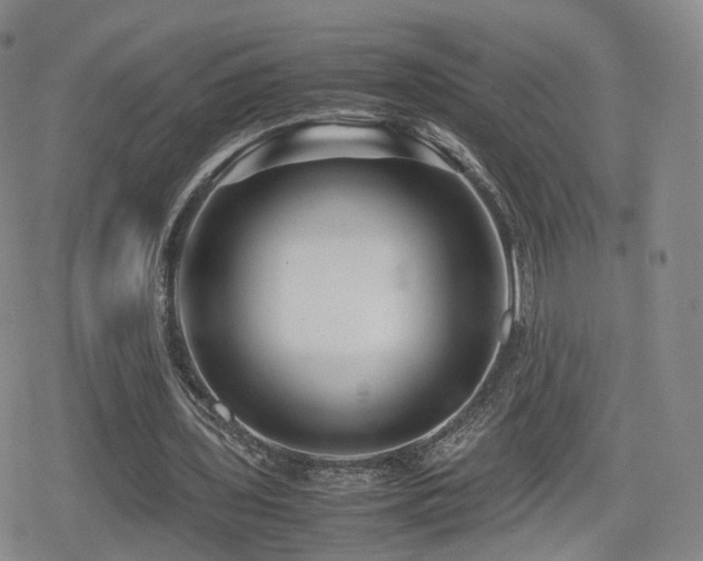 X0000080160435200612081339