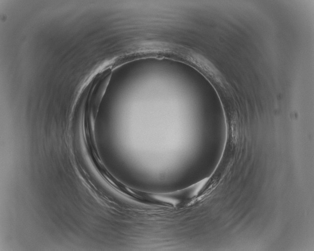 X0000080160436200612081339