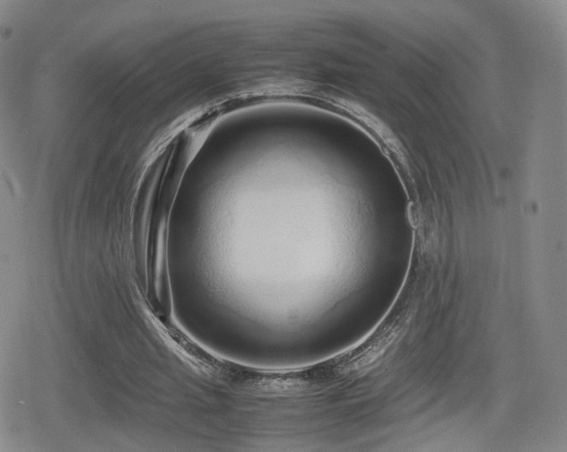 X0000080160437200612081339