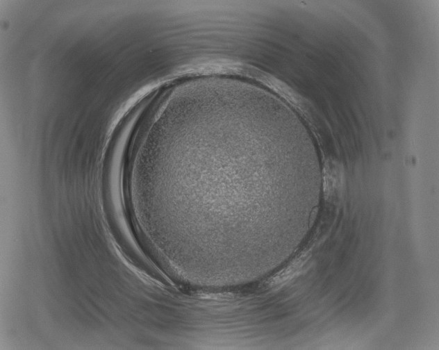 X0000080160438200612081339