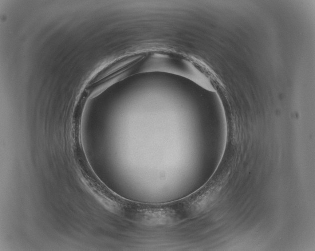 X0000080160439200612081339