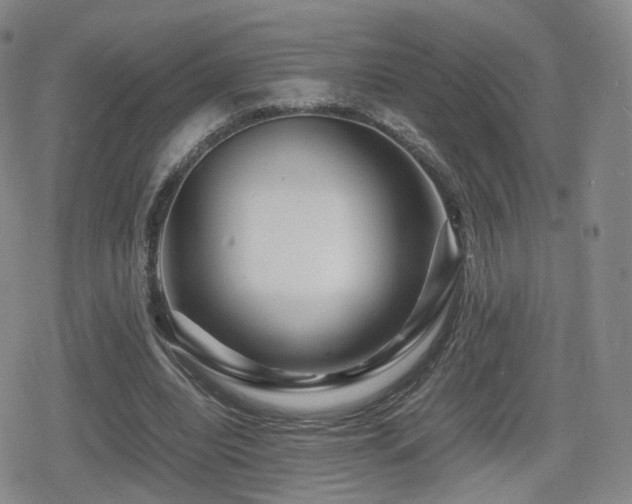 X0000080160440200612081339