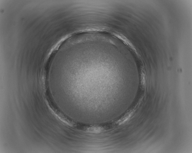 X0000080160444200612081339