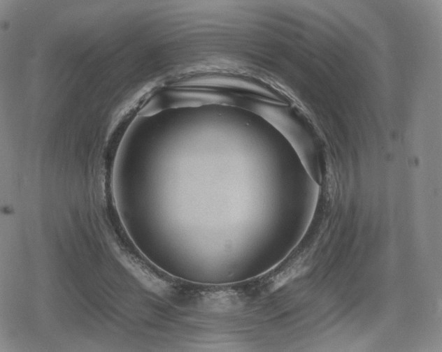 X0000080160446200612081339