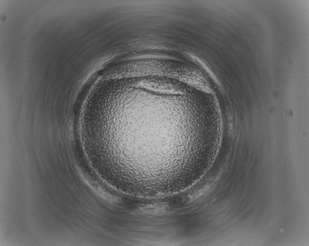 X0000080160447200612081339