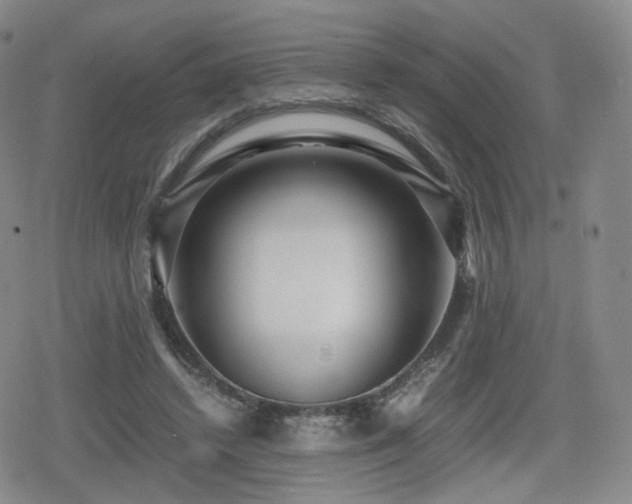 X0000080160448200612081339