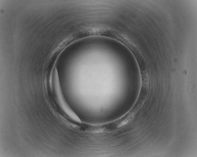X0000080160456200612081339