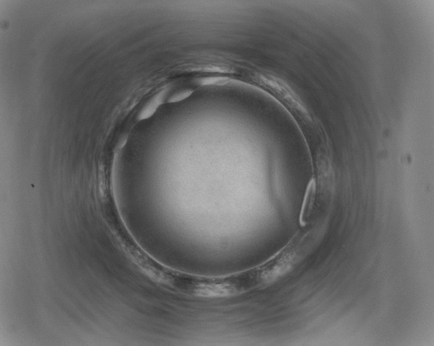 X0000080160457200612081339