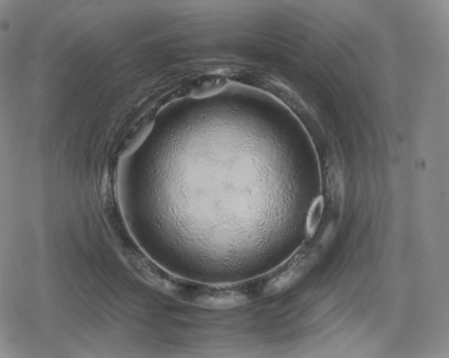 X0000080160459200612081339