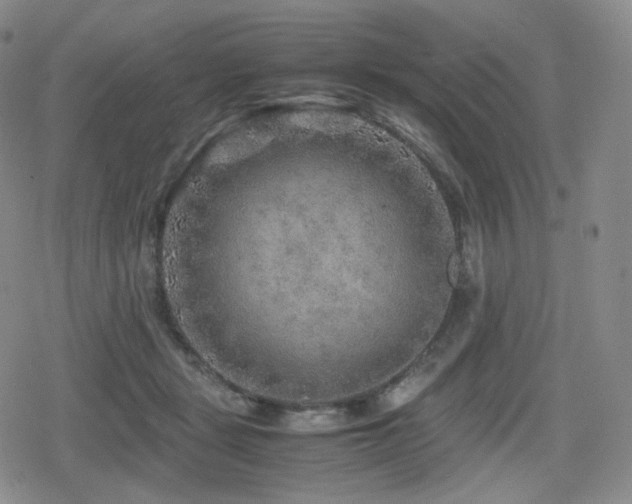 X0000080160461200612081340