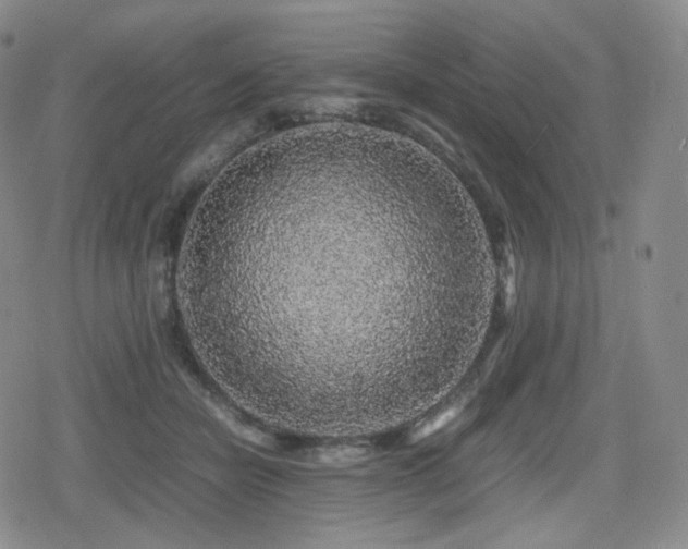 X0000080160462200612081340