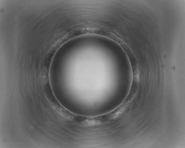X0000080160464200612081340