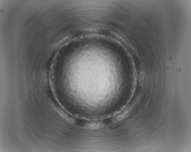 X0000080160466200612081340