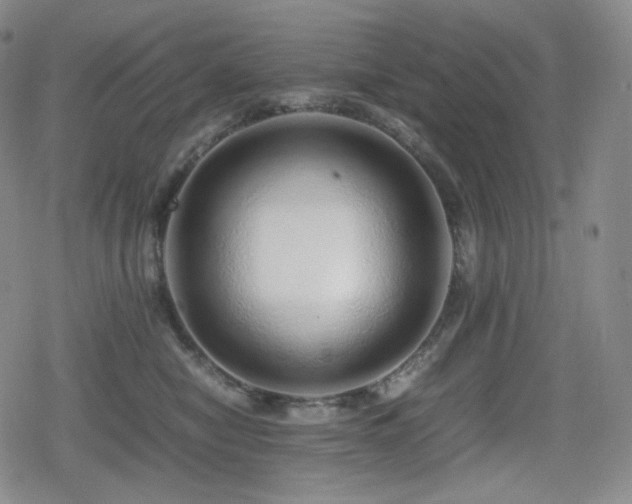 X0000080160470200612081340