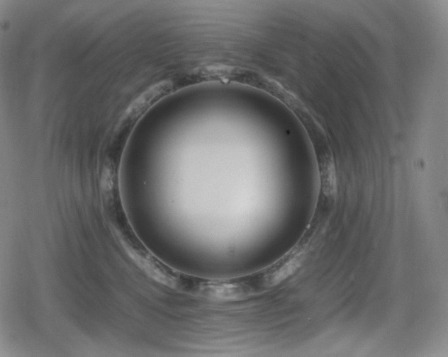 X0000080160472200612081340