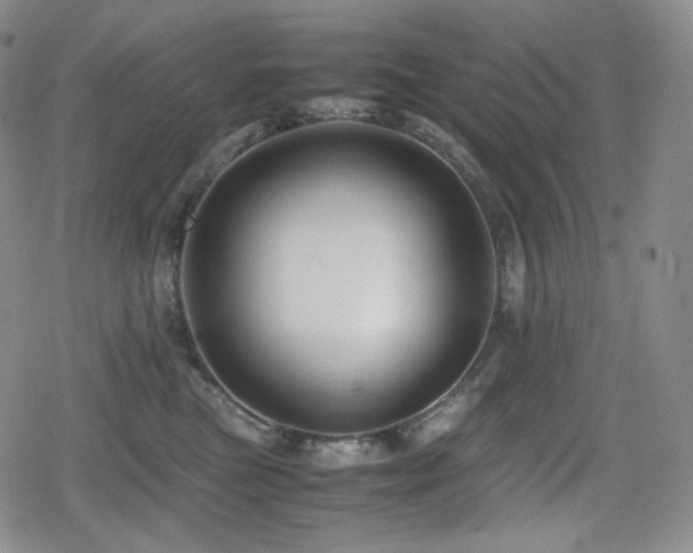 X0000080160473200612081340