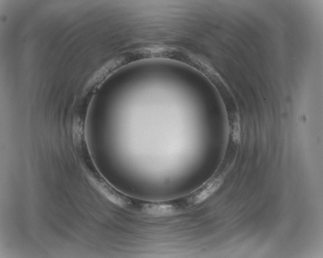 X0000080160476200612081340