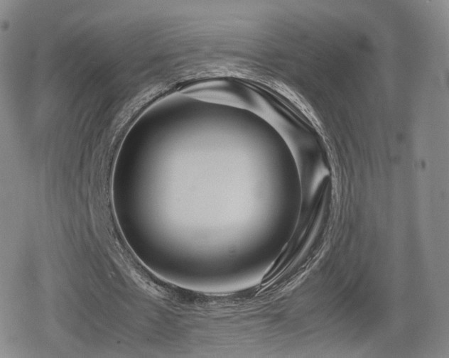 X0000080160481200612081339