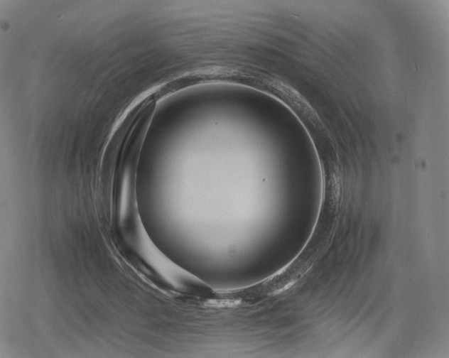 X0000080160484200612081339