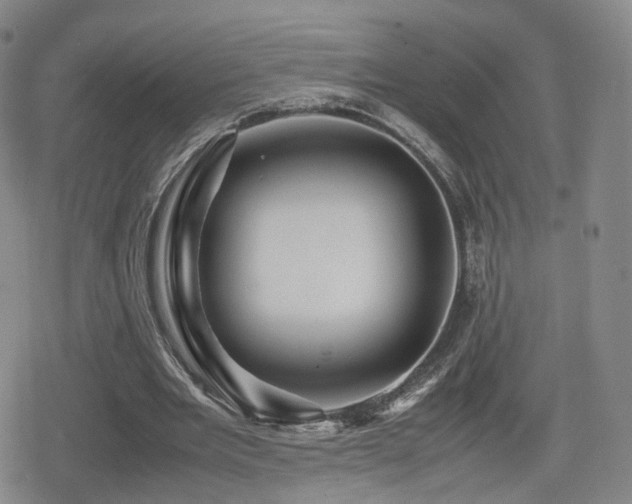 X0000080160485200612081339