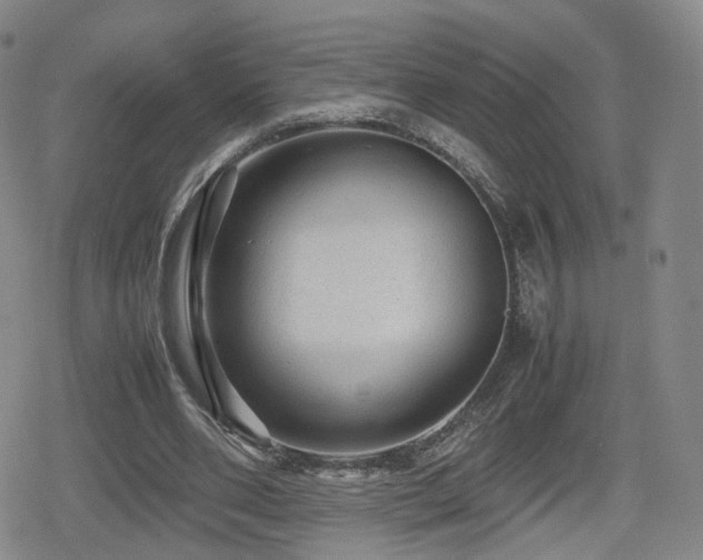 X0000080160486200612081339
