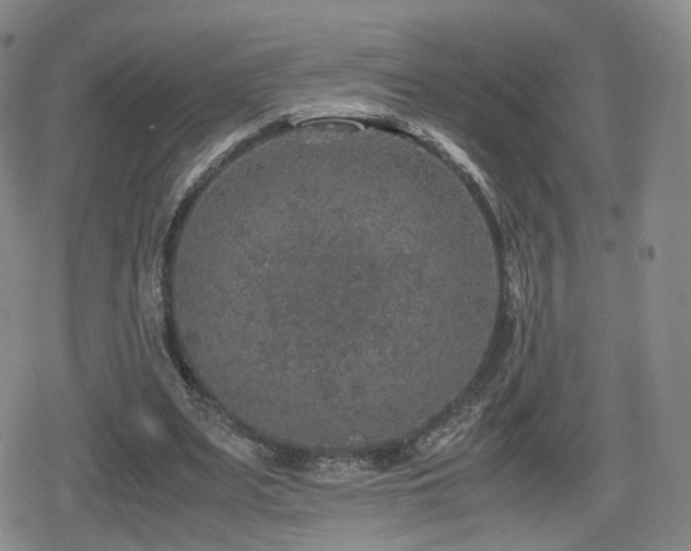 X0000080160487200612081339