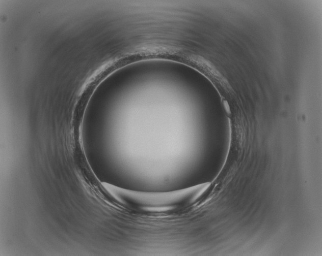 X0000080160488200612081339