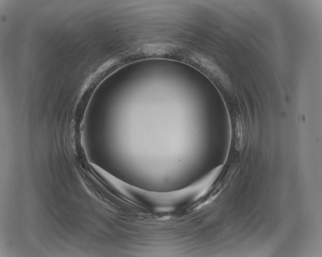 X0000080160492200612081339