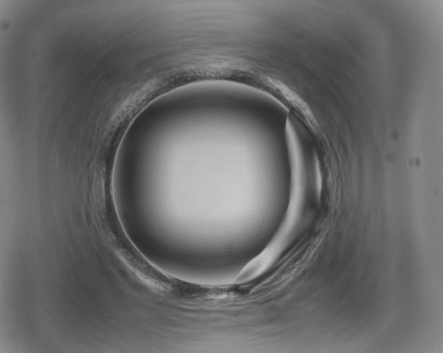 X0000080160493200612081339