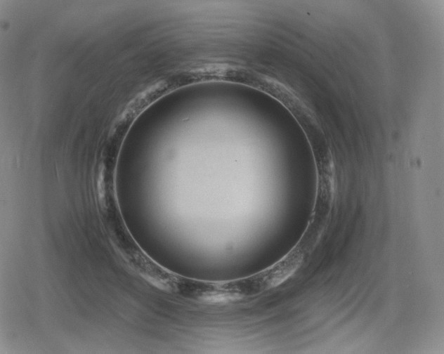 X0000080160504200612081339