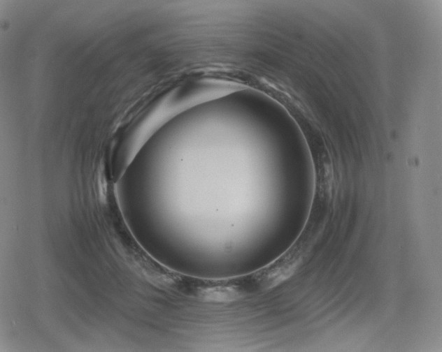 X0000080160508200612081339