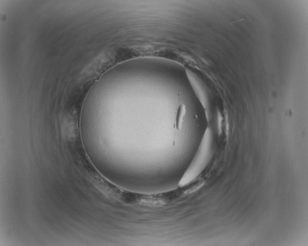 X0000080160515200612081338