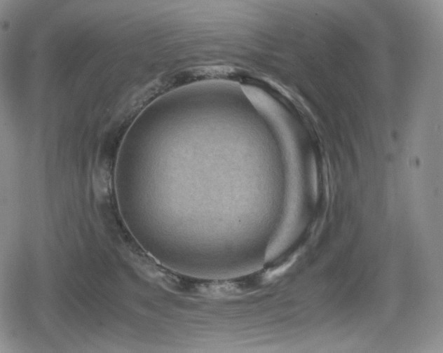 X0000080160517200612081338