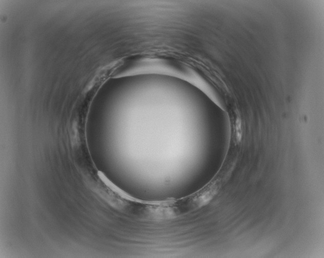 X0000080160520200612081338