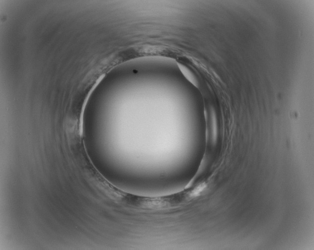 X0000080160521200612081338