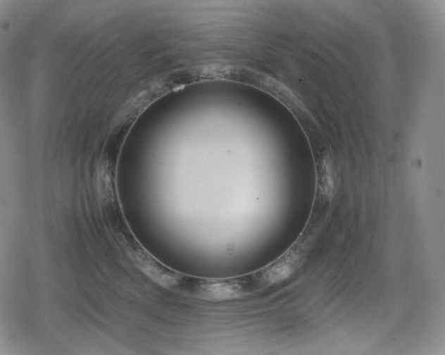 X0000080160522200612081338