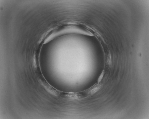 X0000080160524200612081338