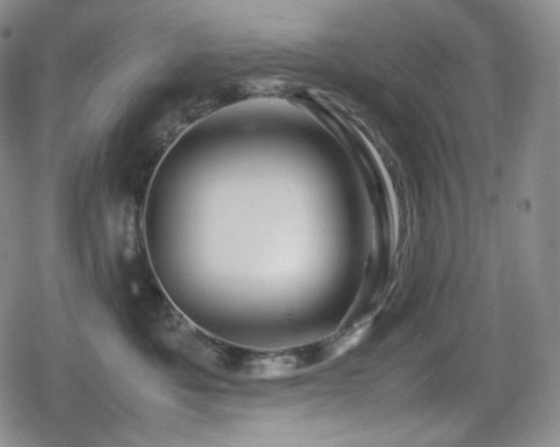 X0000080160525200612081338