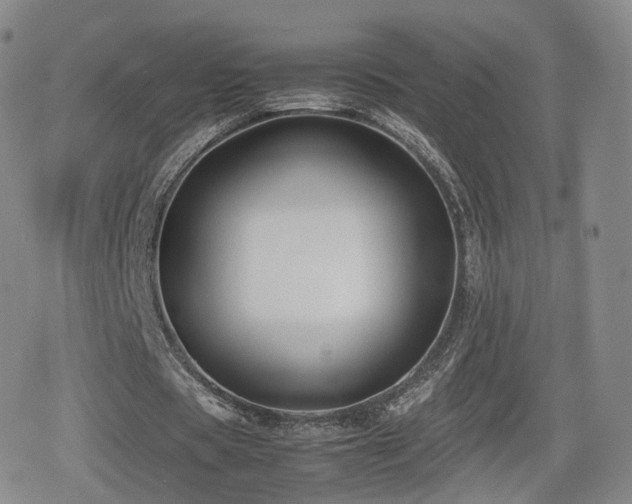 X0000080160529200612081337