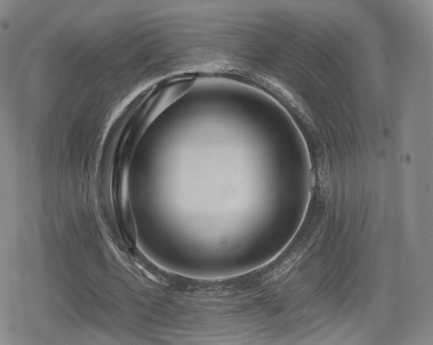 X0000080160532200612081338