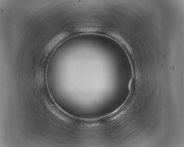 X0000080160533200612081338