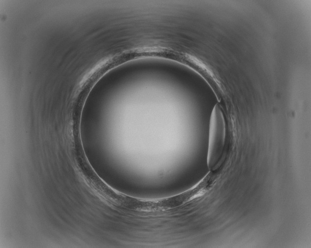 X0000080160535200612081338