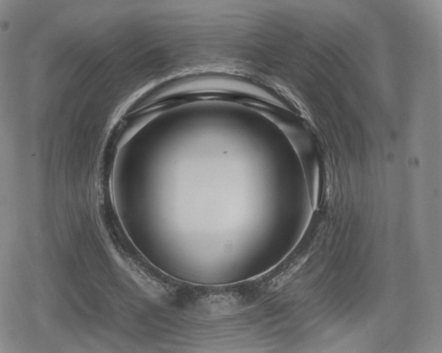 X0000080160536200612081338