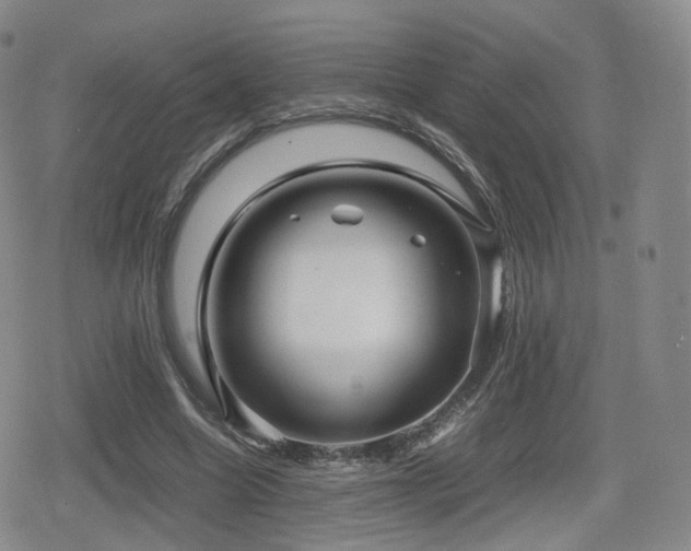 X0000080160538200612081338