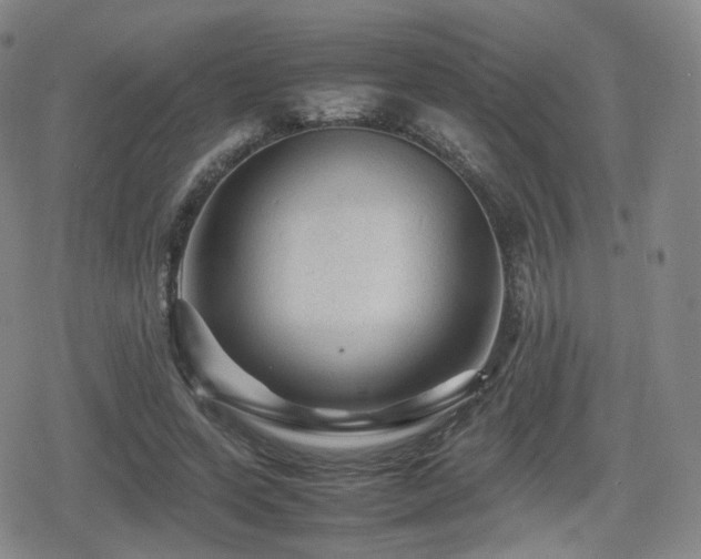 X0000080160543200612081338