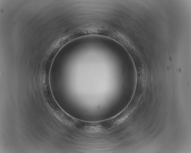 X0000080160548200612081338