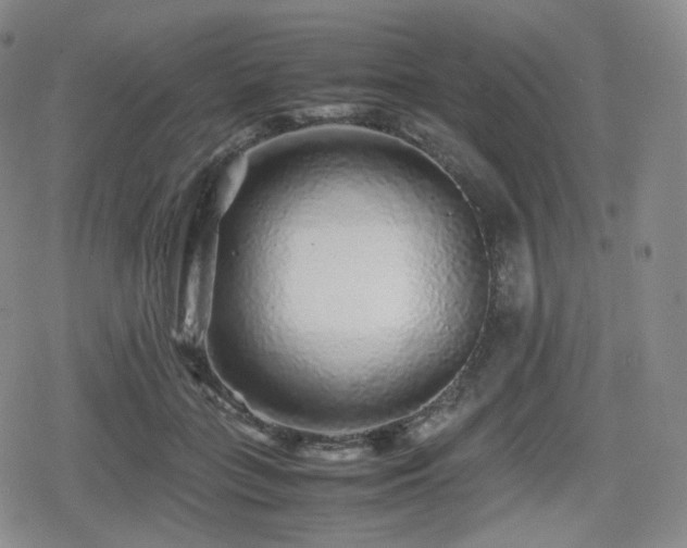 X0000080160555200612081338